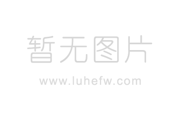 家用電梯品牌排行榜前十名